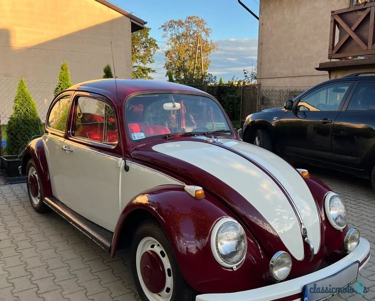 1967' Volkswagen Garbus photo #3