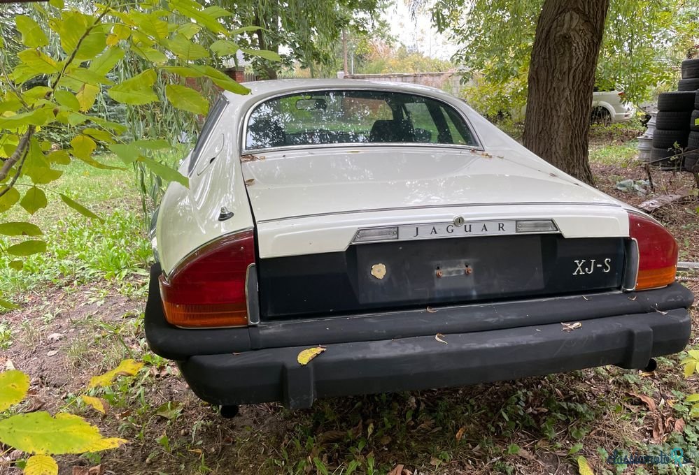 1976' Jaguar XJS photo #2