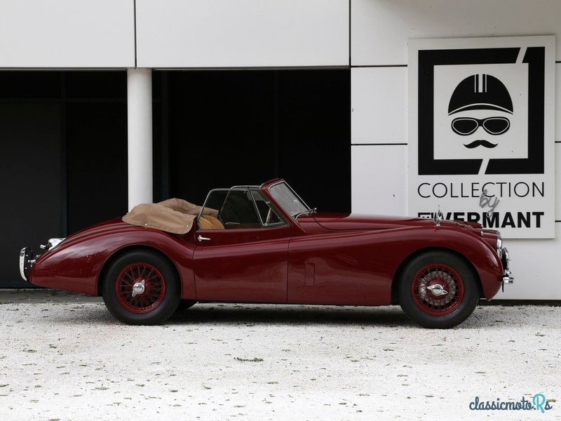 1954' Jaguar Xk120 photo #2