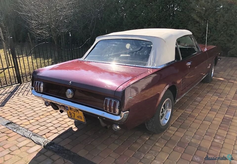 1966' Ford Mustang photo #4