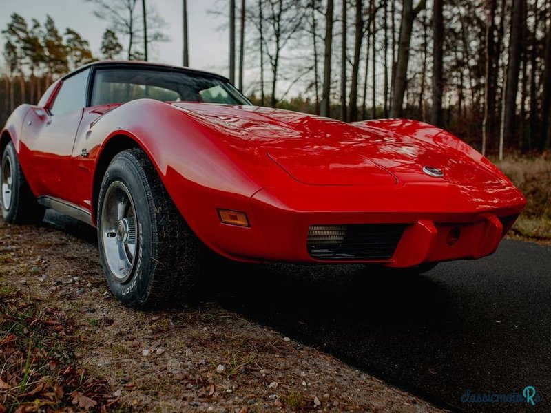 1976' Chevrolet Corvette photo #2