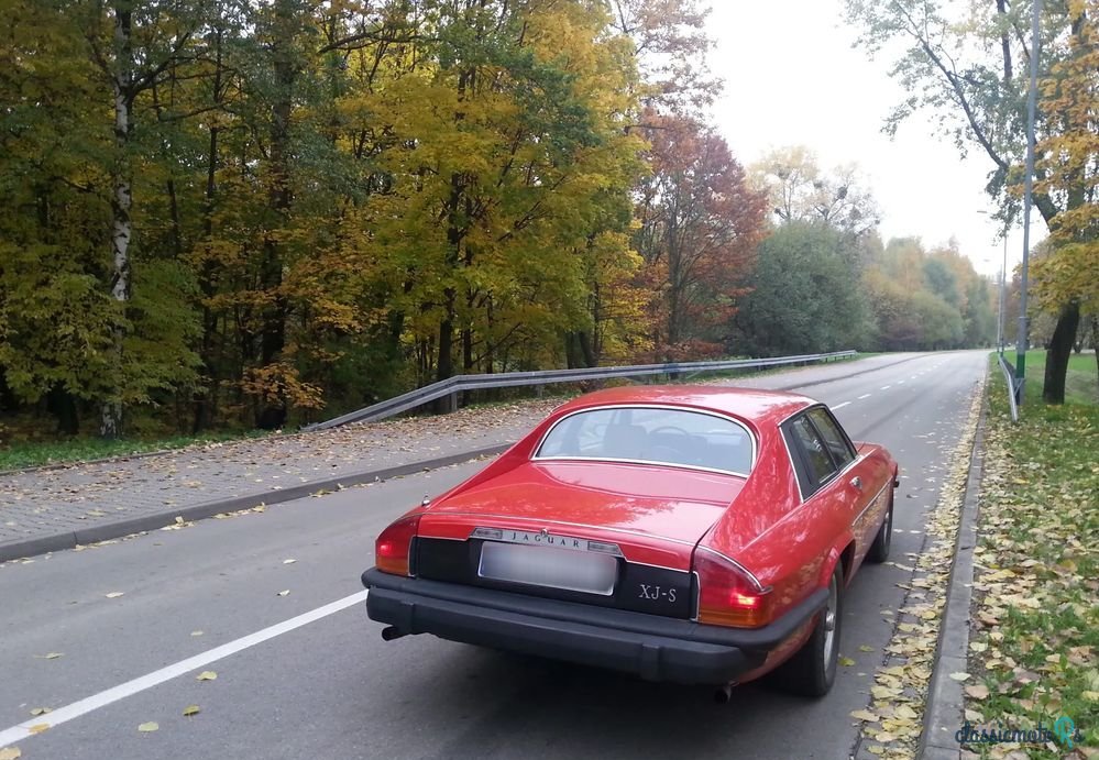 1976' Jaguar XJS photo #4