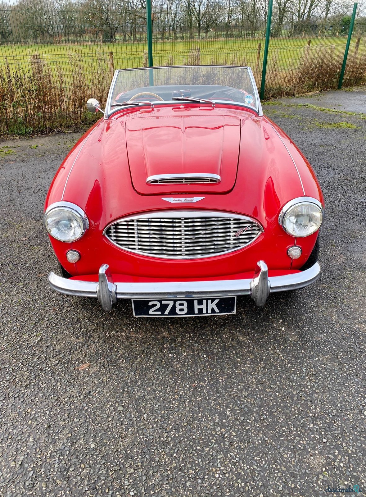 1957' Austin-Healey 100-6 photo #2