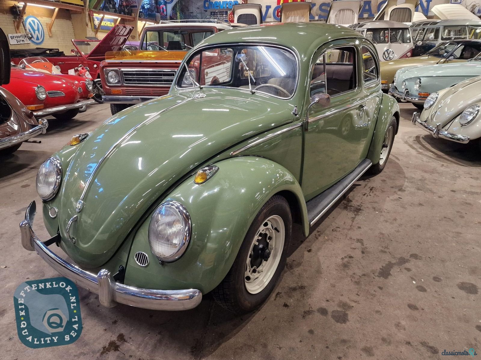 1954' Volkswagen Beetle photo #5
