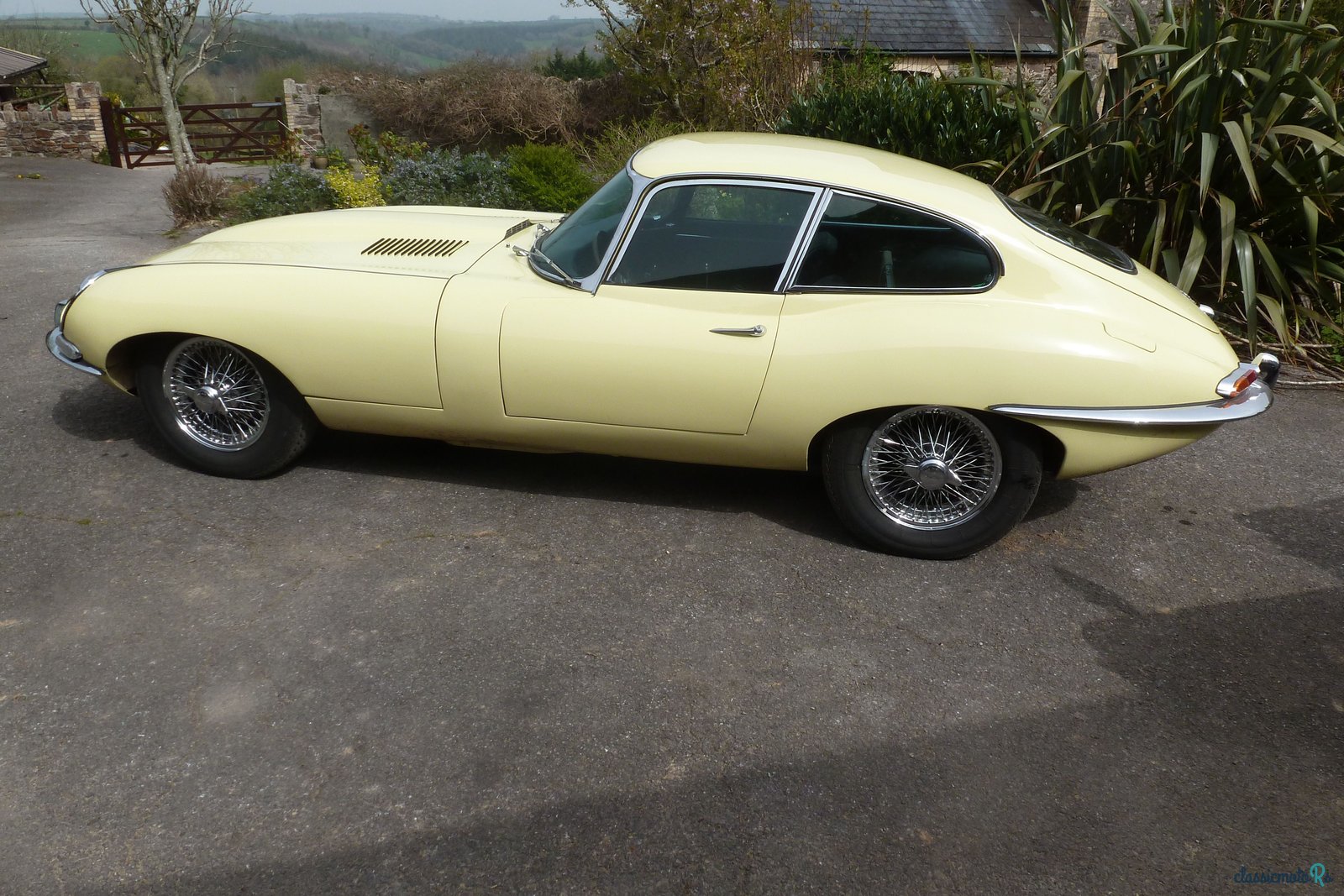 1967' Jaguar E-Type photo #1