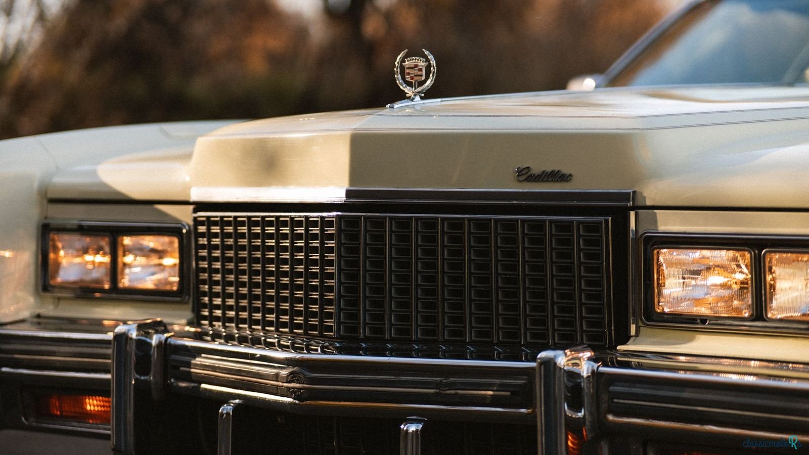 1976' Cadillac Eldorado photo #5