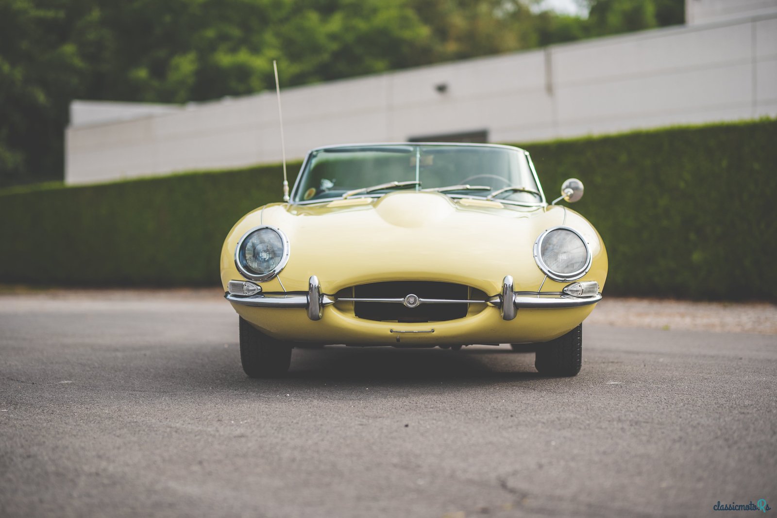1967' Jaguar E-Type photo #2