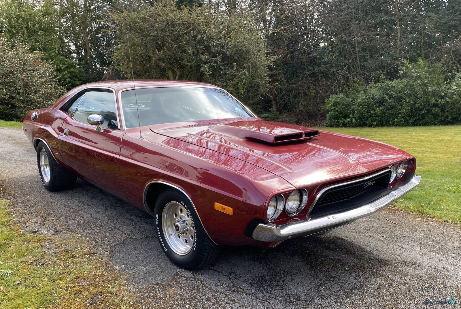1974' Dodge Challenger photo #1