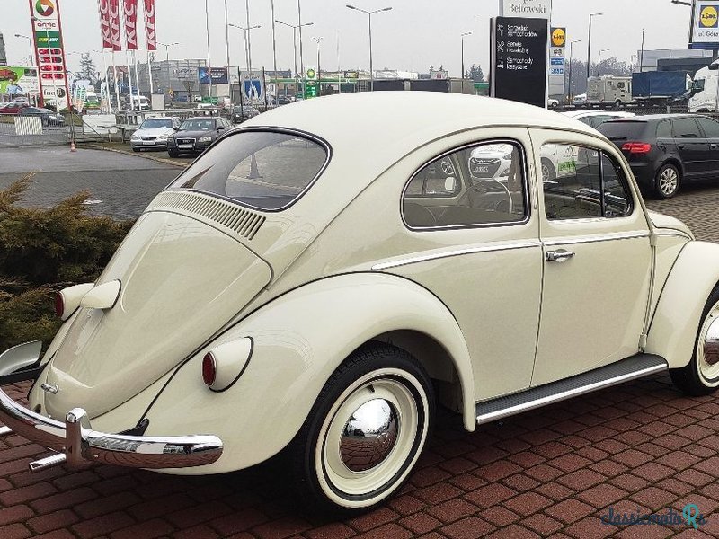 1960' Volkswagen Garbus photo #6