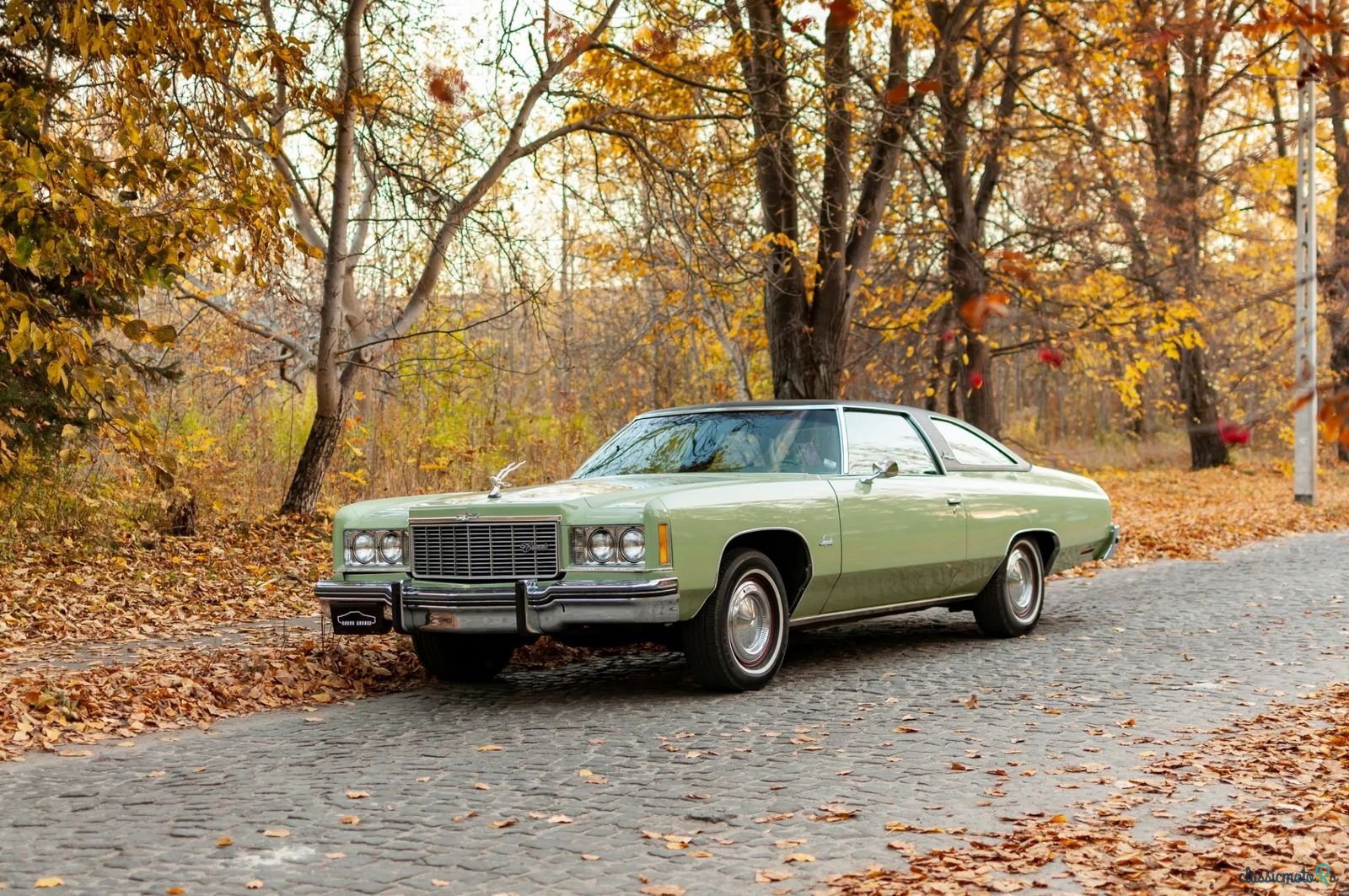 1974' Chevrolet Impala photo #3