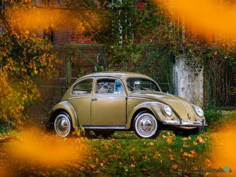 1956' Volkswagen Garbus photo #2