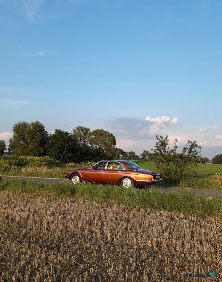 1980' Jaguar XJ photo #6