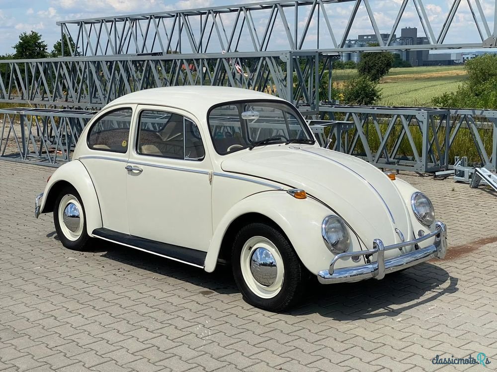 1966' Volkswagen Garbus photo #2