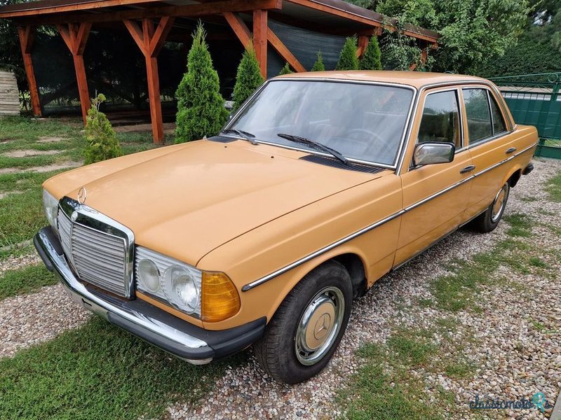 1977' Mercedes-Benz W123 photo #1