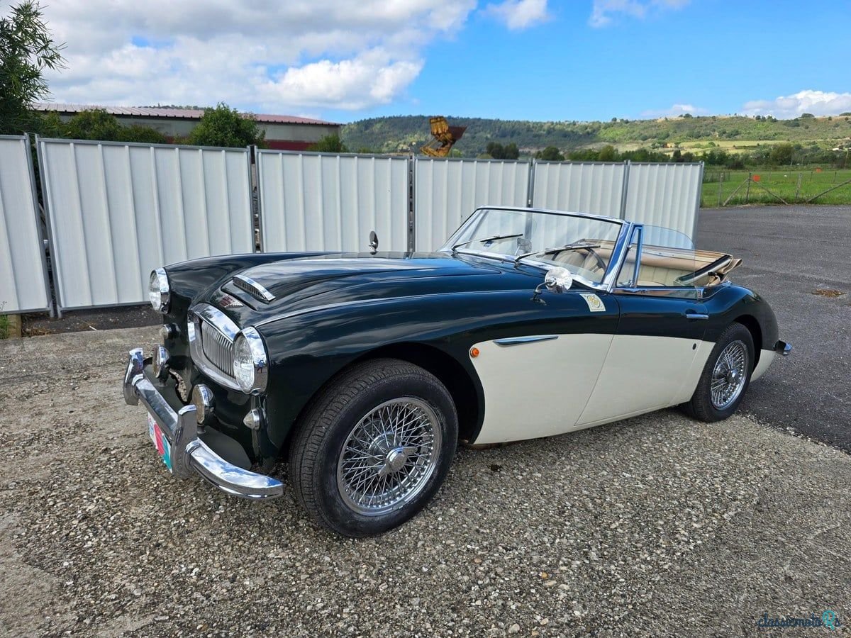1962' Austin-Healey 3000 photo #1