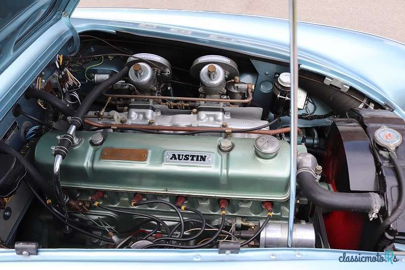 1960' Austin Healey photo #4