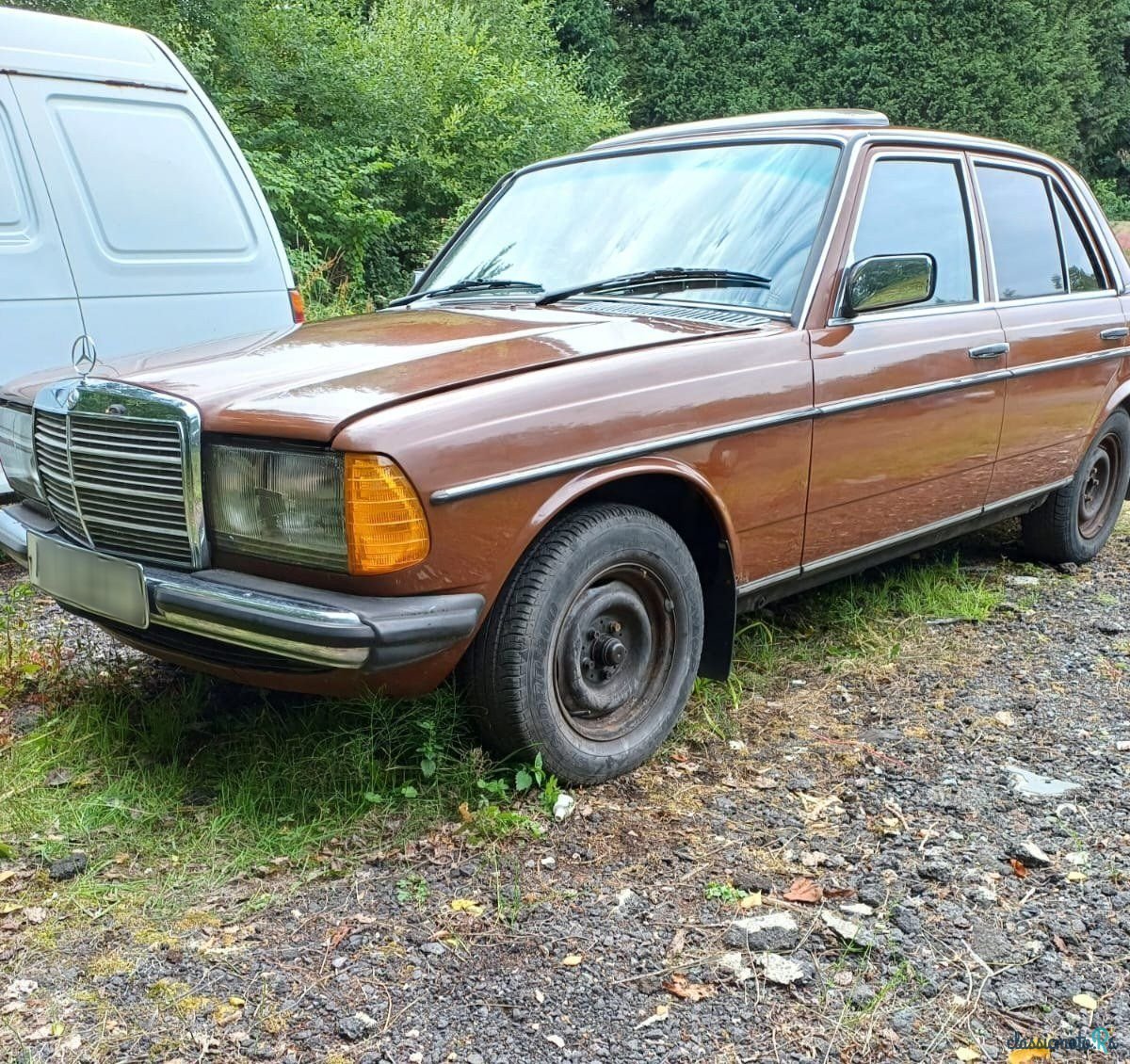 1982' Mercedes-Benz 230 photo #1