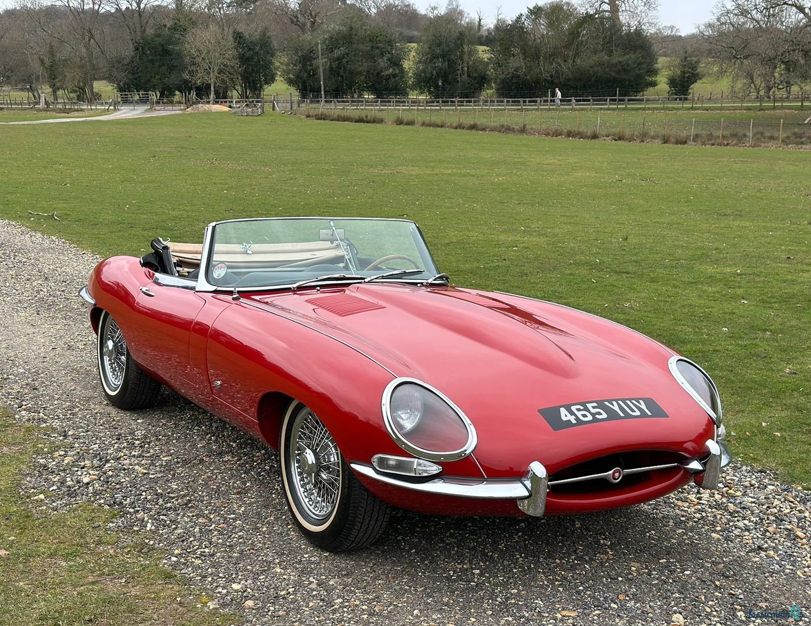 1961' Jaguar E-Type photo #1