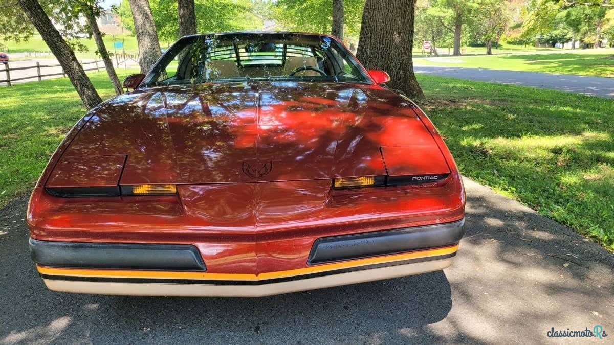 1986' Pontiac Firebird photo #5