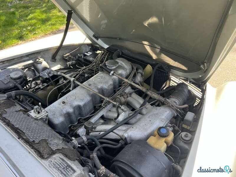 1967' Mercedes-Benz 230 photo #3