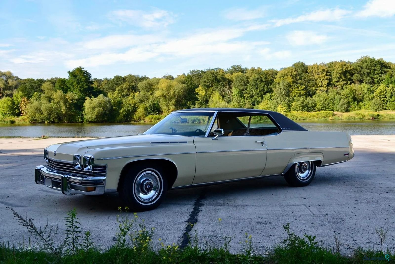 1974' Buick Electra photo #2
