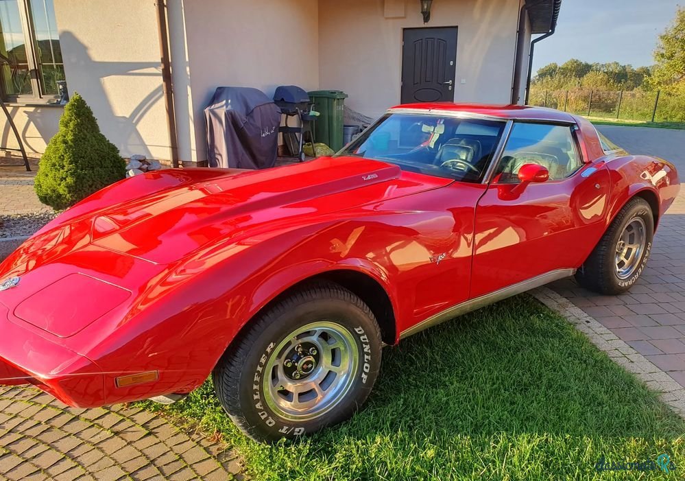1978' Chevrolet Corvette photo #1
