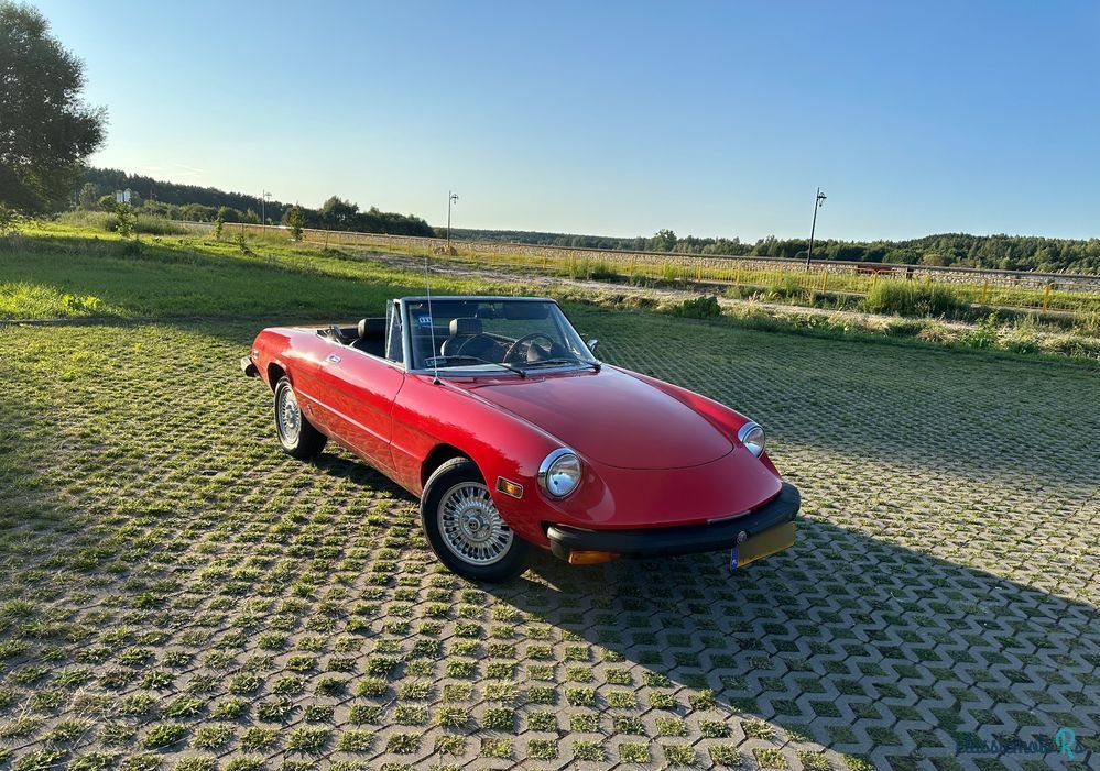 1974' Alfa Romeo Spider 2.0 photo #2