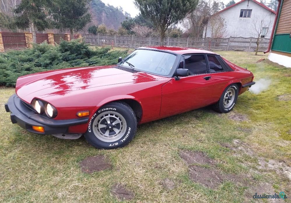 1977' Jaguar XJS photo #3