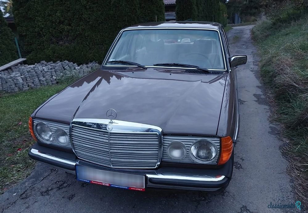 1979' Mercedes-Benz W123 photo #4
