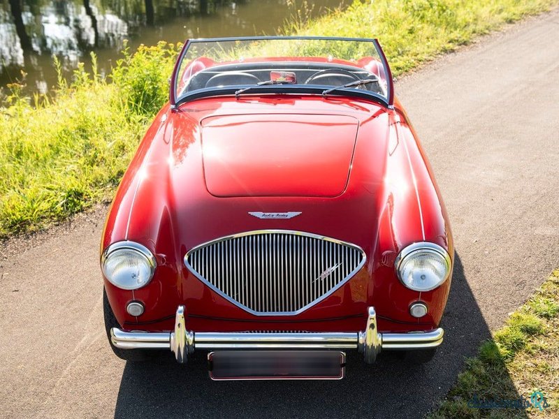 1955' Austin-Healey 100/4 photo #1