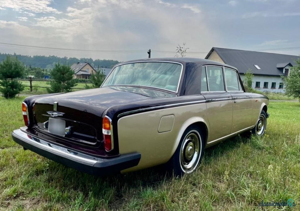 1977' Rolls-Royce Silver Shadow photo #5