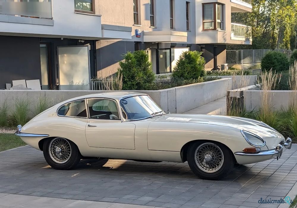 1962' Jaguar E-Type photo #1