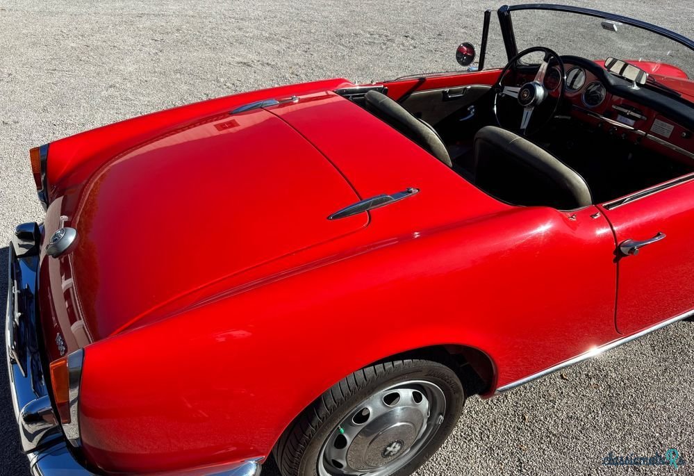 1964' Alfa Romeo Spider photo #5