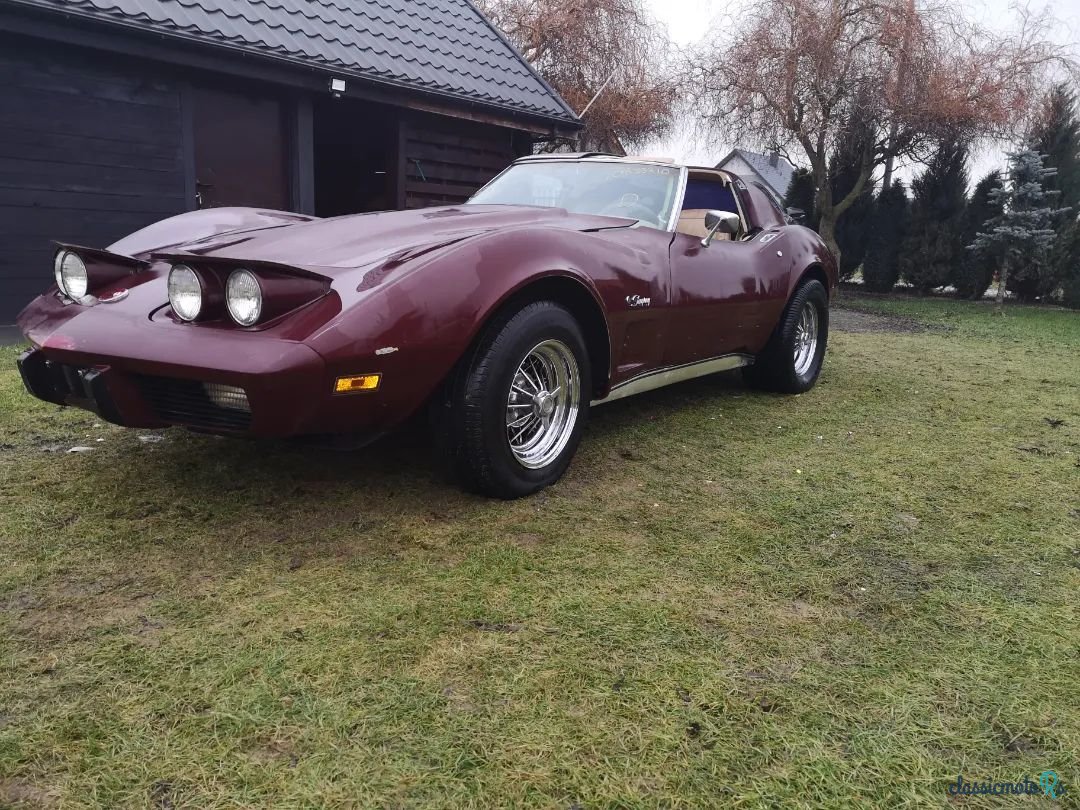 1976' Chevrolet Corvette photo #2
