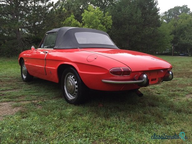 1967' Alfa Romeo Spider 1600 photo #2