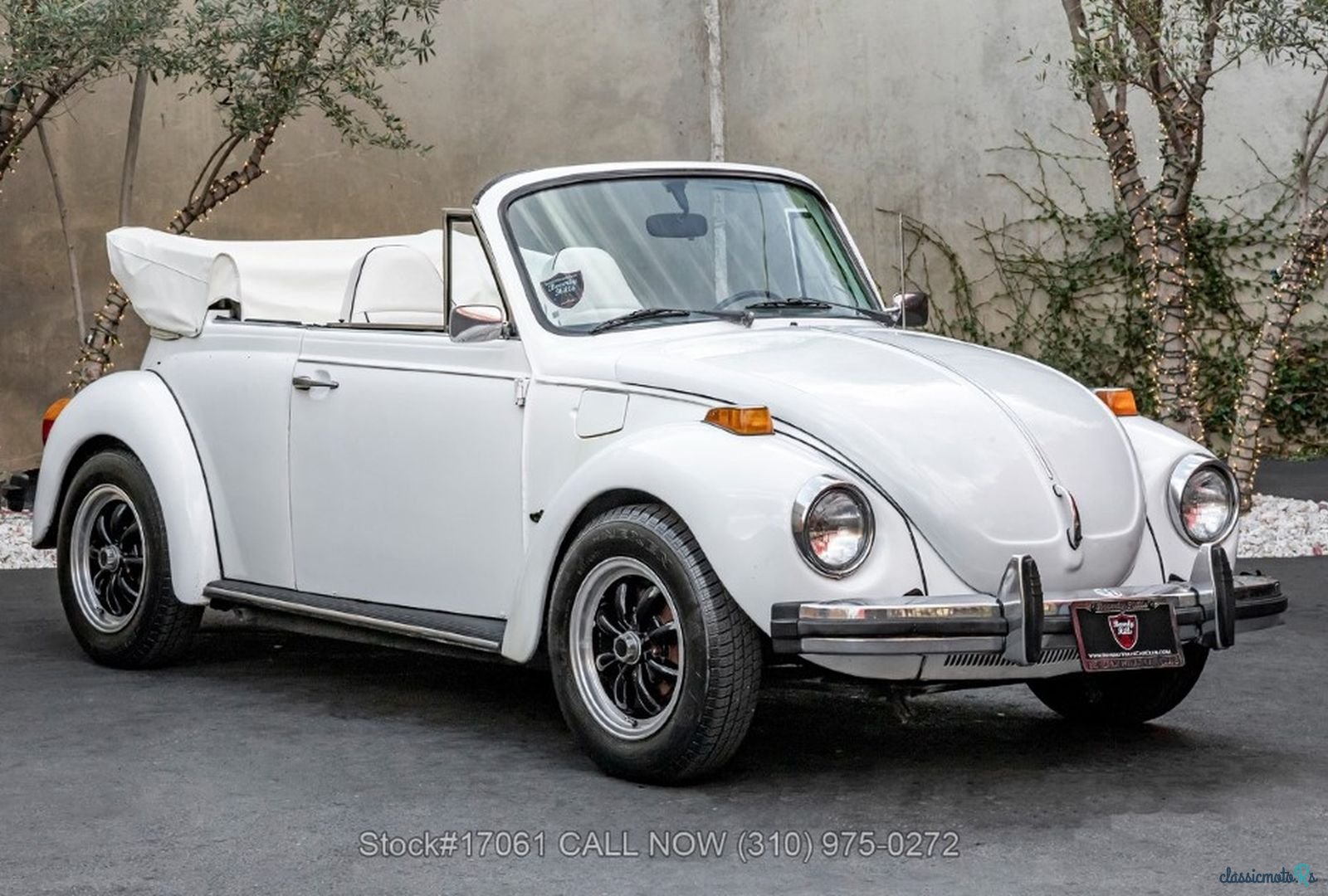 1974' Volkswagen photo #1