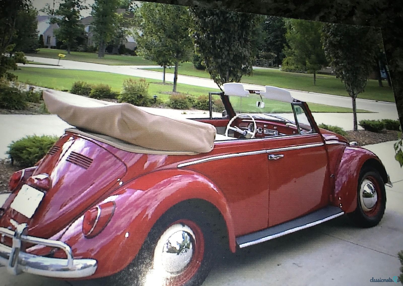 1965' Volkswagen Beetle photo #3