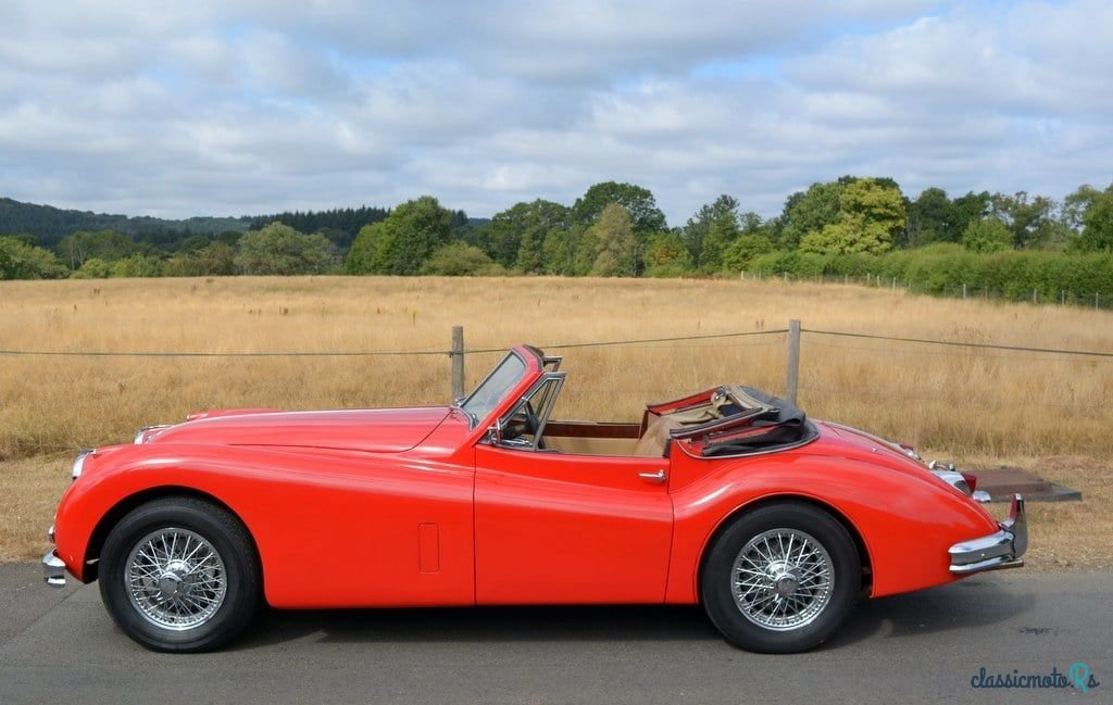 1955' Jaguar Xk140 photo #6