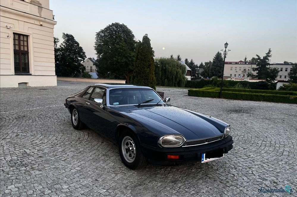 1979' Jaguar XJS photo #1
