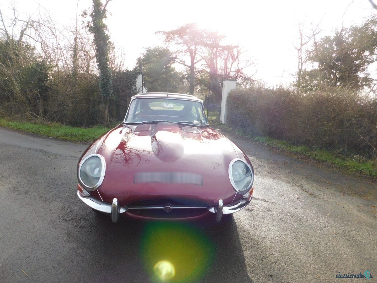 1966' Jaguar E-Type photo #2