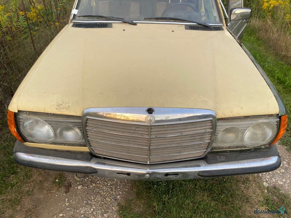 1977' Mercedes-Benz 240 D W123 photo #2