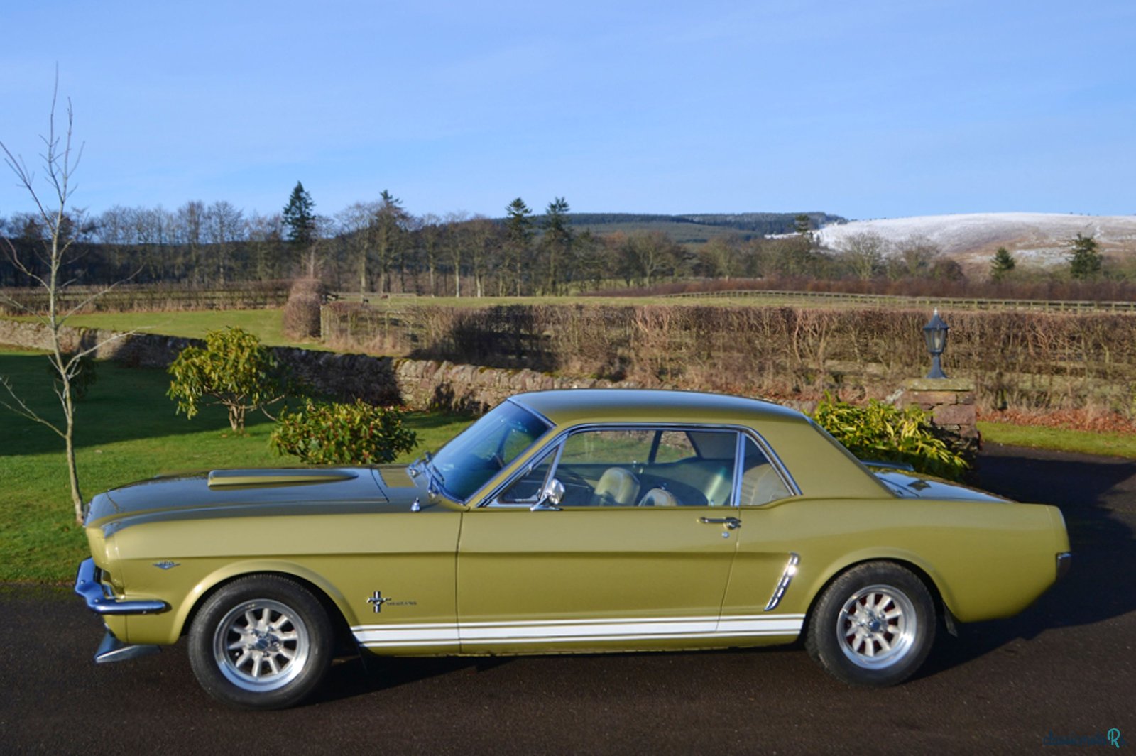 1965' Ford Mustang photo #5
