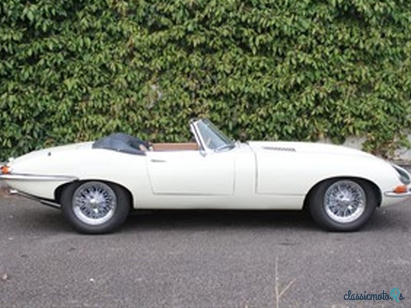 1962' Jaguar E-Type photo #2