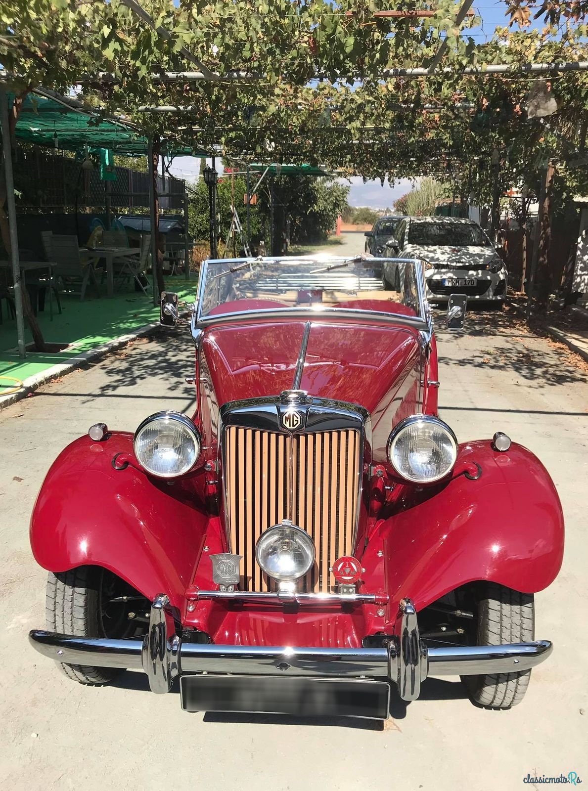 1951' MG Td photo #3