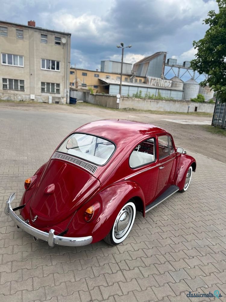 1965' Volkswagen Garbus photo #5