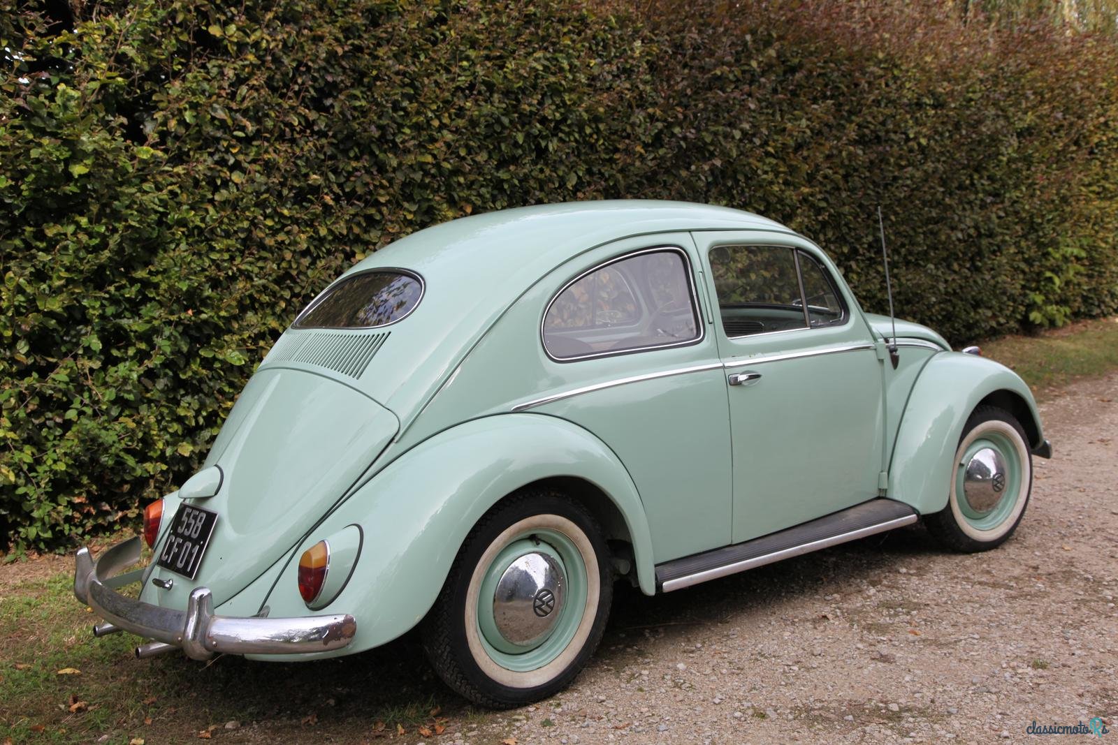 1954' Volkswagen Beetle Ovale photo #4