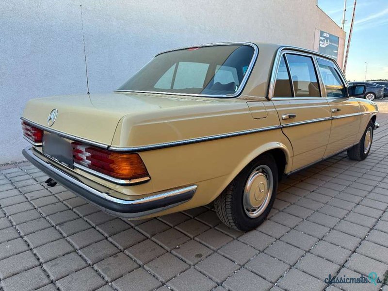 1976' Mercedes-Benz 280 photo #4