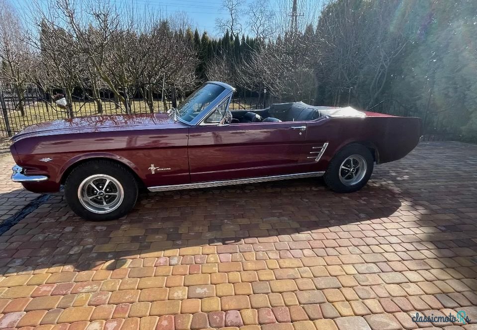 1966' Ford Mustang photo #1