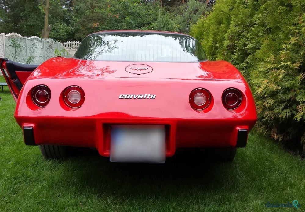 1979' Chevrolet Corvette photo #2