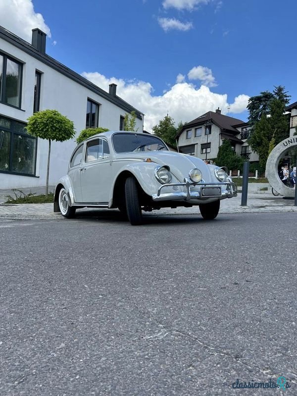 1966' Volkswagen Garbus photo #3